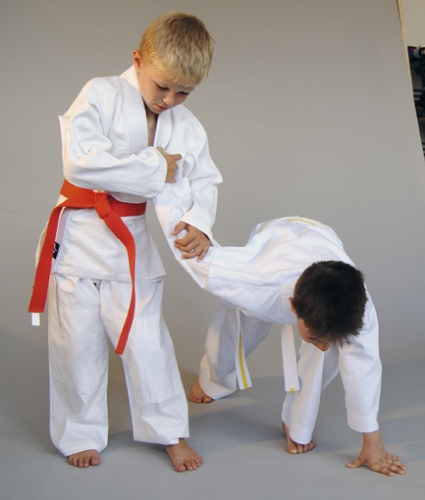 Basic Edition Judo
