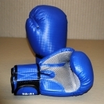Boxhandschuh Carbon/Mesh blau