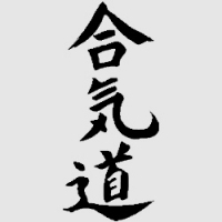 Aikido 12,5 x 29 cm