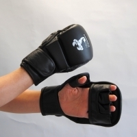 Budo´s Finest Freefight / MMA-Handschutz - Leder