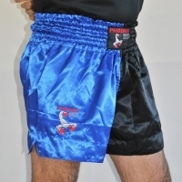 BUDO's FINEST Thaibox-Shorts - blau-schwarz