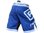 RDX MMA Shorts - Full Blue